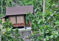 Отзывы Bali Jungle Huts