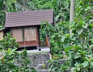 Bali Jungle Huts Tegallalang Indonesia
