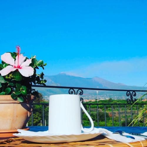 صورة الفندق 4