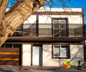Singlar Consultora Malargue Argentina