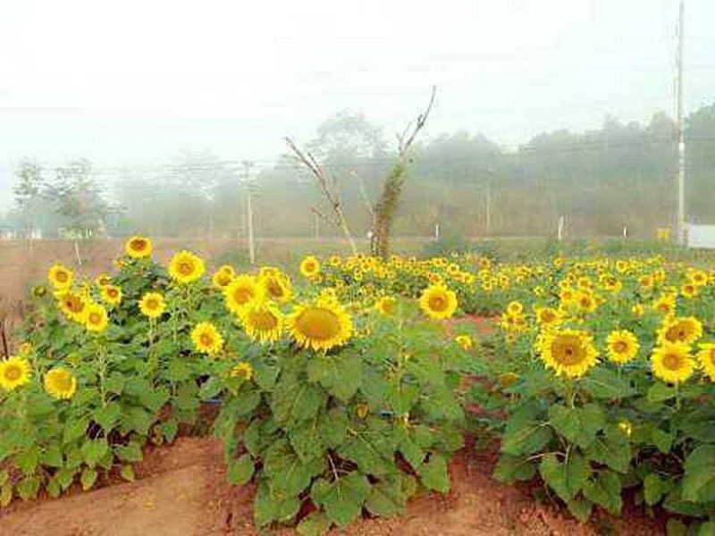 صورة الفندق 22
