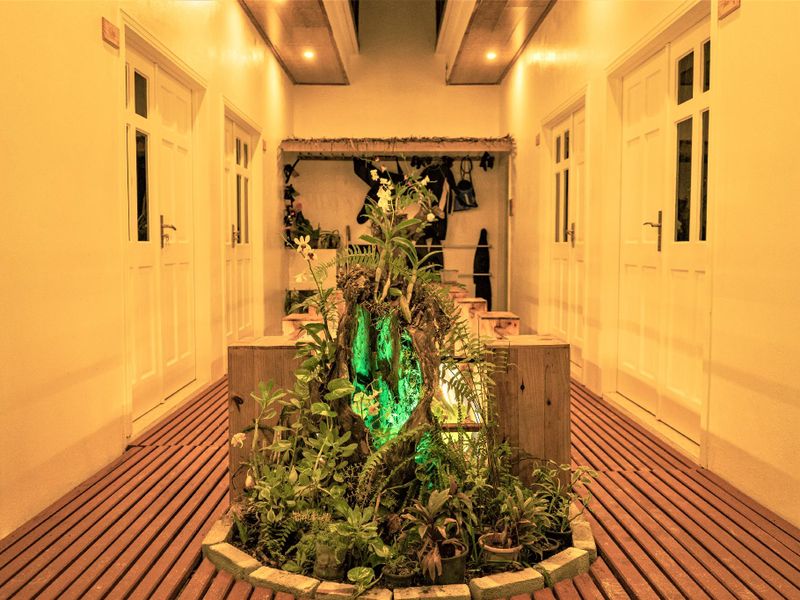 Hotel Photo 12