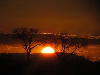 صورة الفندق 13