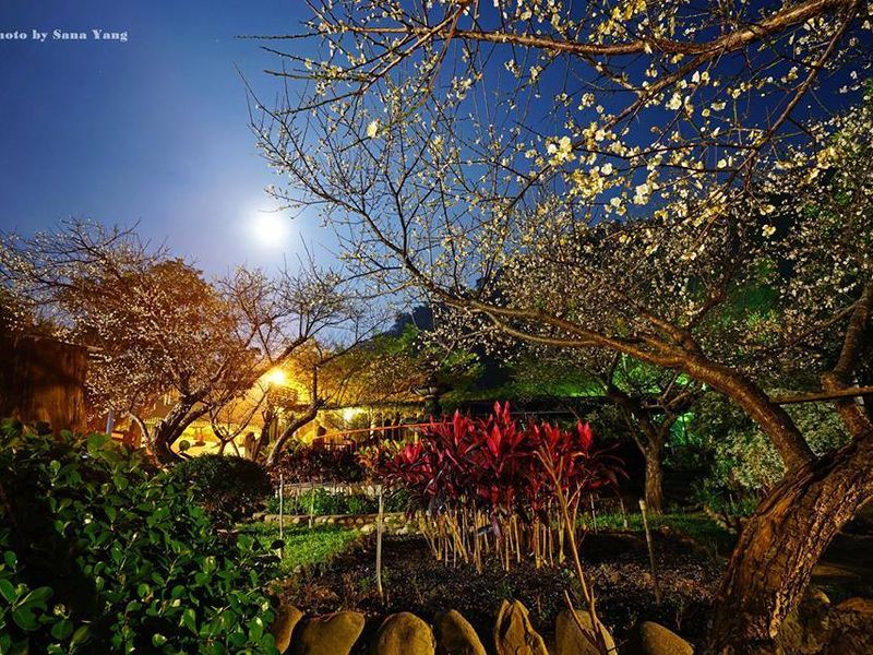 صورة الفندق 11