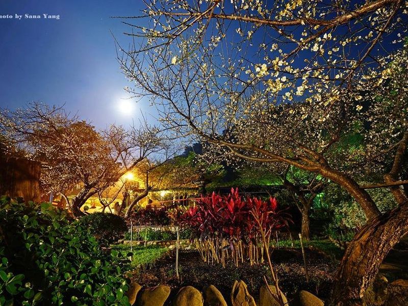 صورة الفندق 12