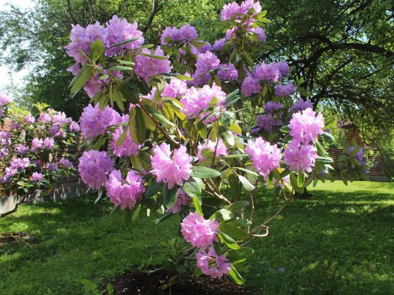 صورة الفندق 12