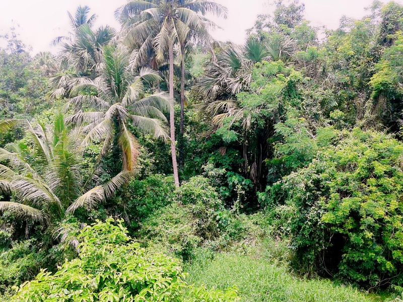 صورة الفندق 4