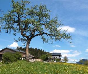 Unterhofgut Goldeggweng Austria