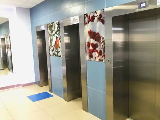 Квартира в 5-ти мин. от метро и 3.5 км от Невского