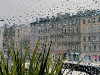 Капюшон-отель