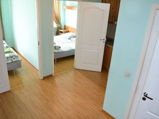 Acme Apartments on Nevsky 78