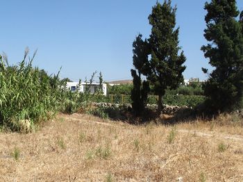 صورة الفندق 20