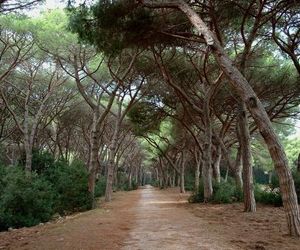 Casale Gli Ulivi Orbetello Italy