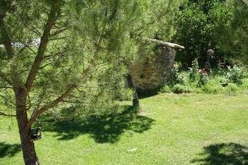صورة الفندق 24