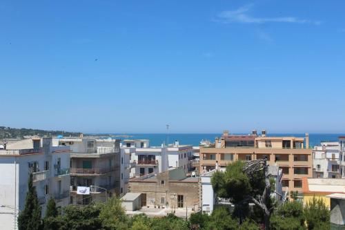 صورة الفندق 24