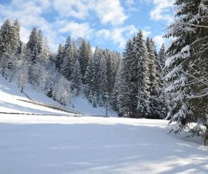 Haus am Sunnfeld Alpbach Austria