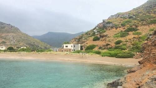 صورة الفندق 21