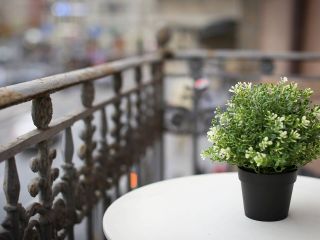 4-местный номер люкс в Sweet Village Hotel