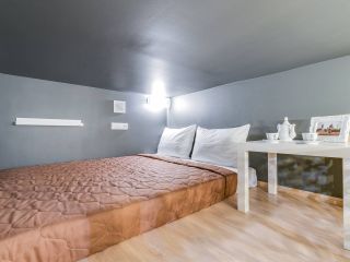 Студия Пётр Великий в апарт-отеле Аристократ.