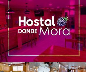 Hostal Donde Mora Villarica Chile