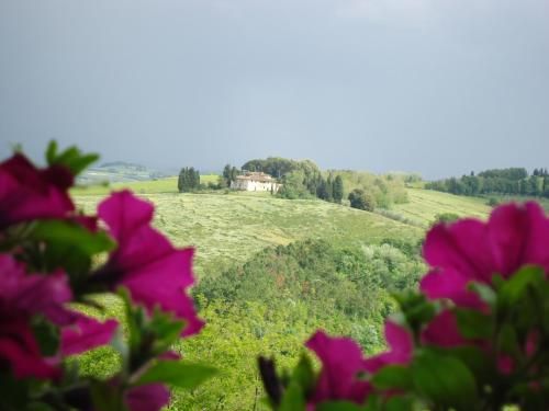 صورة الفندق 21