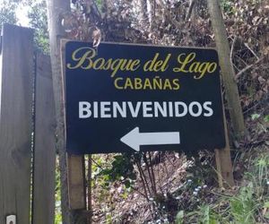 Bosque del Lago Molco Chile