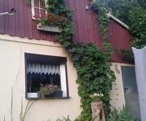 Bubi Niedlich Thale Germany