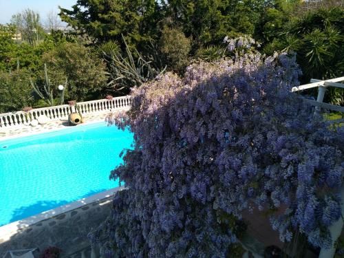 صورة الفندق 12