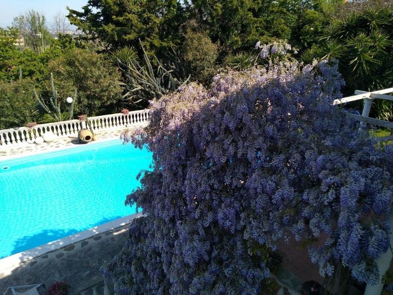 صورة الفندق 4