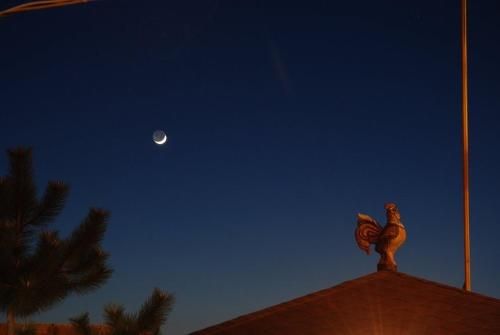 صورة الفندق 19