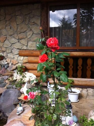 صورة الفندق 8