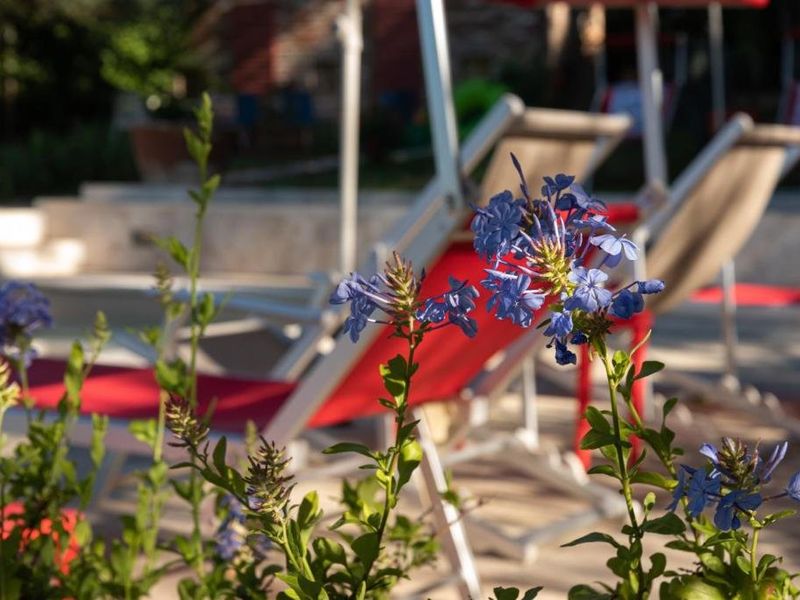 صورة الفندق 9