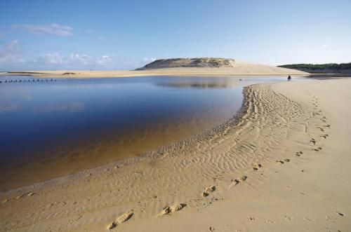 صورة الفندق 5
