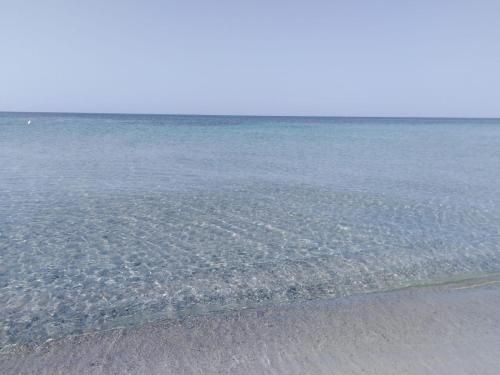 صورة الفندق 6