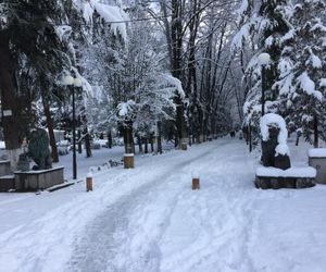 Natalis House Borjomi Georgia