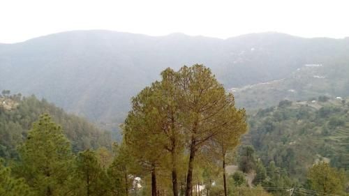 صورة الفندق 22