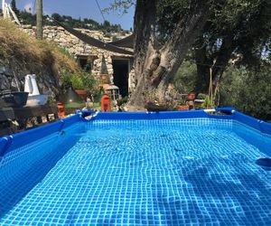 Le petit jardin exotique Beausoleil France