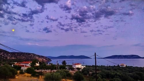 صورة الفندق 5