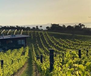 La Bodega Oneroa New Zealand