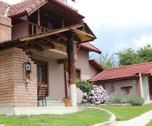 Casa Darius Novaci Romania