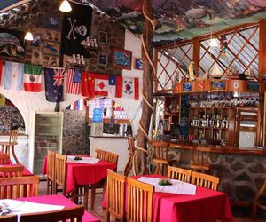 Galapagos Penguin Hostel Puerto Ayora Ecuador