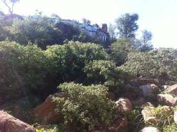 صورة الفندق 18