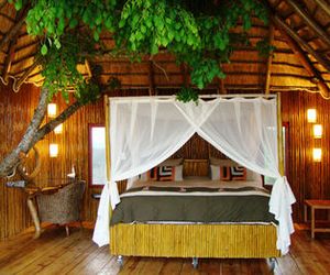 Pezulu Tree House Lodge Mbabat South Africa