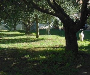 House Alma Spadici Croatia