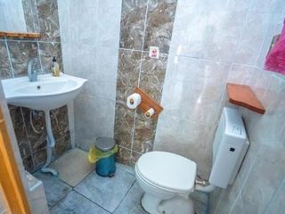 Hotel pic LOTUS GARDEN HOSTEL