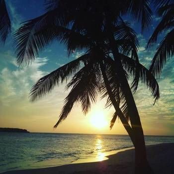 صورة الفندق 12