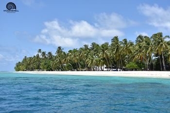 صورة الفندق 15