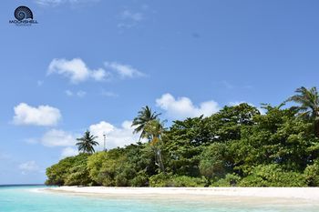 صورة الفندق 7