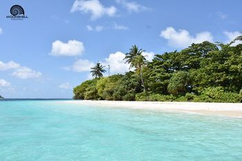 صورة الفندق 10