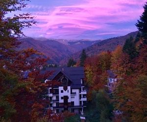 Apartament Stanca Piticului Sinaia Romania